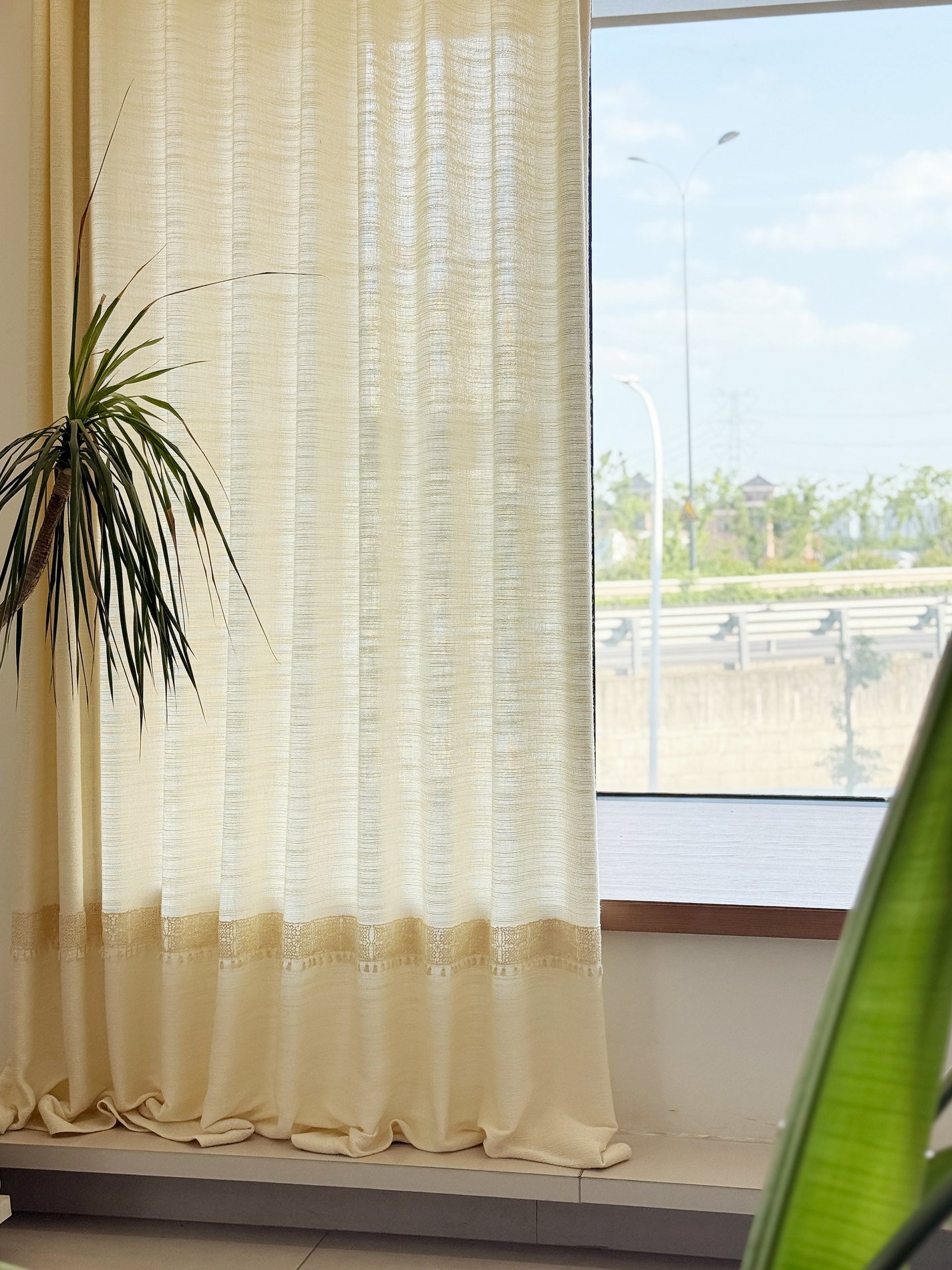 Warm sheer curtain fabric glowing near a window