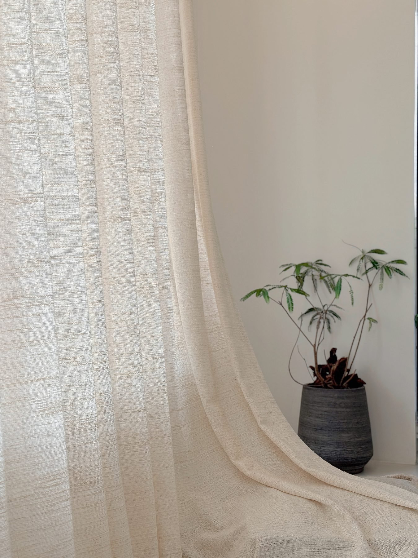Translucent sheer curtain fabric glowing in daylight